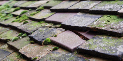 Market Drayton roof repair costs